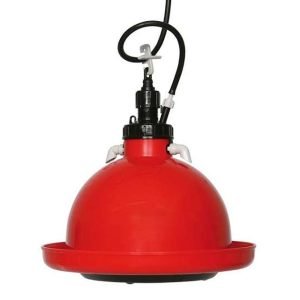 Indian Type Bell Drinker (For Poultry | Automatic)