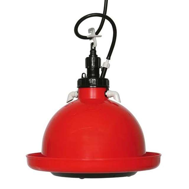 Indian Type Bell Drinker (For Poultry | Automatic)