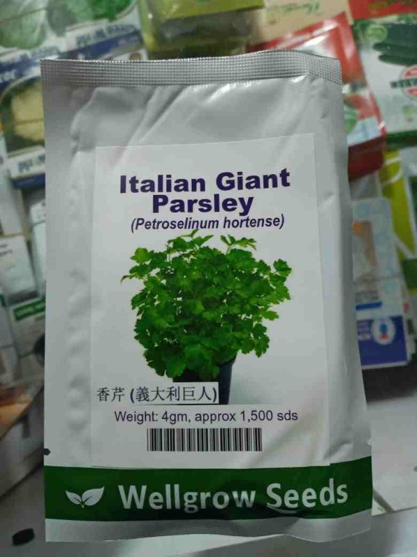 Italian Giant Parsley | Hybrid| 4g (1500 seeds)