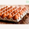 Paper Egg Crates (Bundle of 100 pieces)