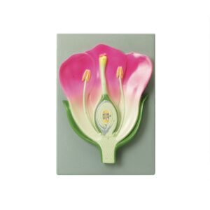 Flower Model