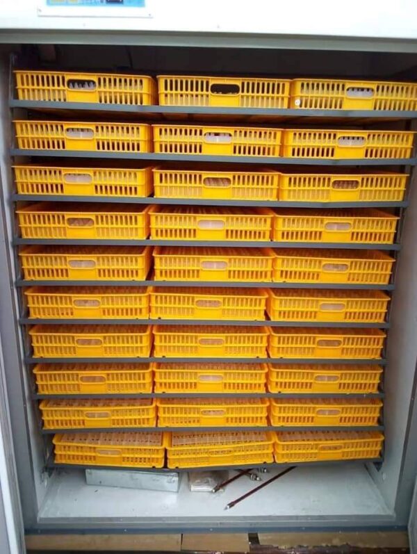 11262 Capacity Incubator