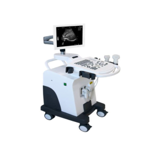 AR-K2 B/W Digital Ultrasound Scanner Shipped From Abroad