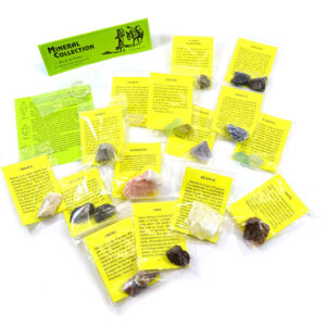 Premium Mineral Collection with 15 Identified Specimens and 4.5x Hand Lens