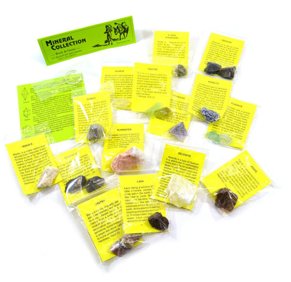 Premium Mineral Collection with 15 Identified Specimens and 4.5x Hand Lens