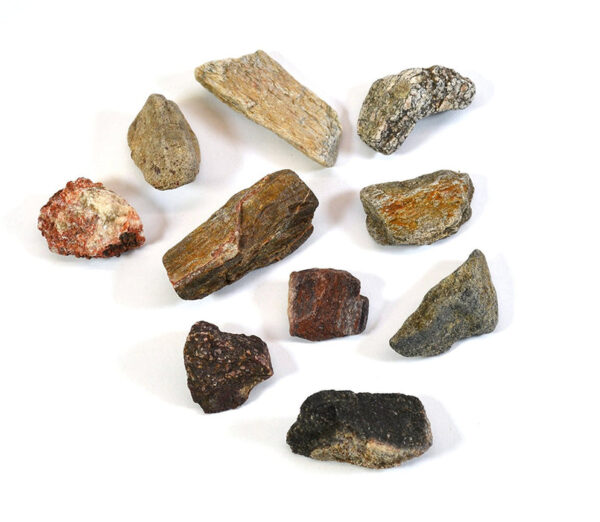 Real Dinosaur Bone Pieces Approximately 1" Length - Pack of 10 in Cotton Bag