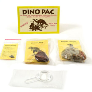 Rare Fossil Dino Pac - Real Dinosaur Egg, Bone, and Dung Fossils with Info Cards, Geologic Timescale, and 4X Magnifier