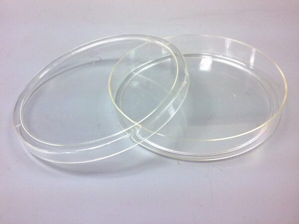 Petri Dish 90mm Single Vent