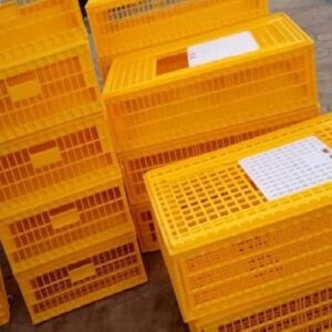 Poultry Transfer Crate