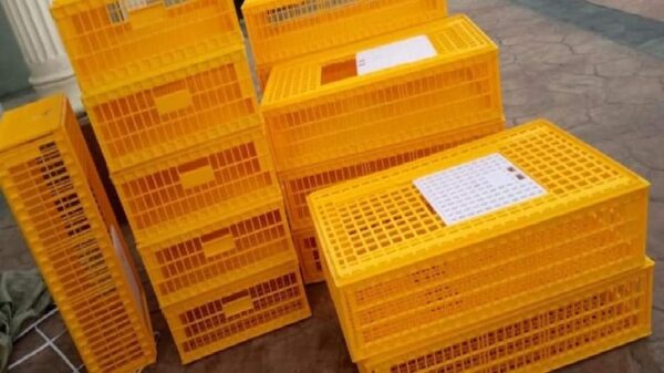 Poultry Transfer Crate