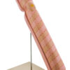 Eisco labs 22" Model Chromosome Mounted on Base - Extra Large