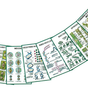 Chart - General Botany -II