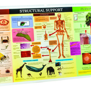 Flip Chart on 10 Subjects