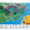 Model Geographical Terms