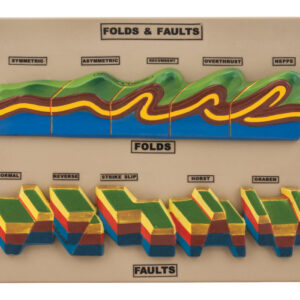 Fact & Fault Model