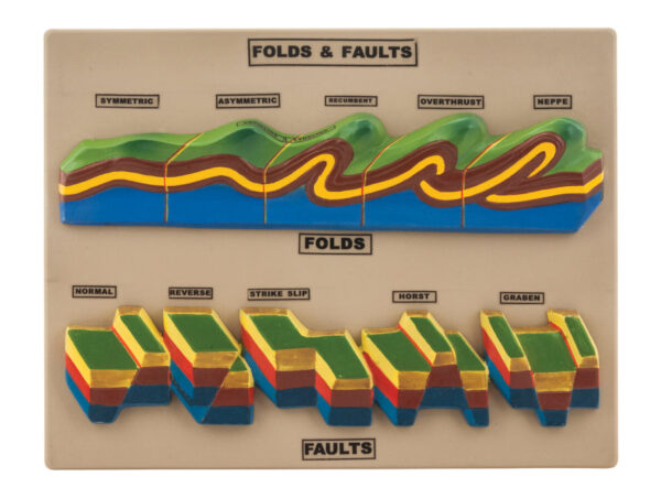 Fact & Fault Model