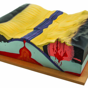 Tectonics Model