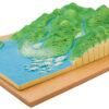 Crustal Movement Model