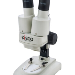 Microscope Stereo - Starter