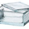 Glass Staining Dish for 10 or 20 Slides with Grooves- Eisco Labs