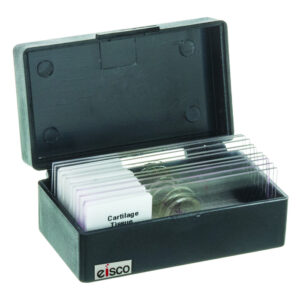 EISCO Slide Box Polystyrene 10 Slides