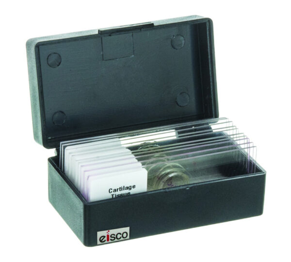 EISCO Slide Box Polystyrene 10 Slides