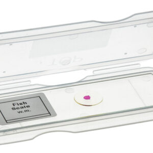 Slide Mailer - 1 slide