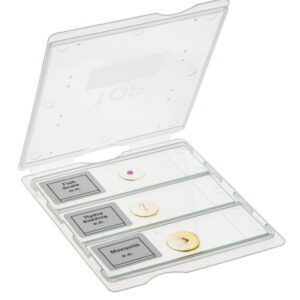 Slide Mailer - 5 slides