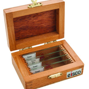 Slide Box Wooden for 12 slides