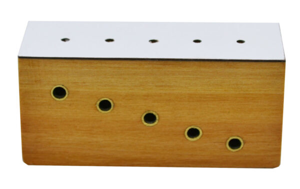 Hardwood Insect Pinning Block, Contains 5 Holes with Different Heights for Pins - Eisco Labs