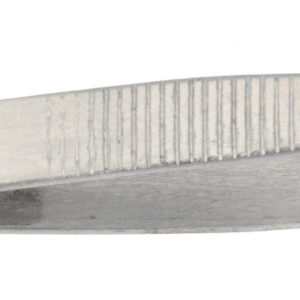 Stainless Steel Forceps - 5" - Pointed End - Eisco Labs