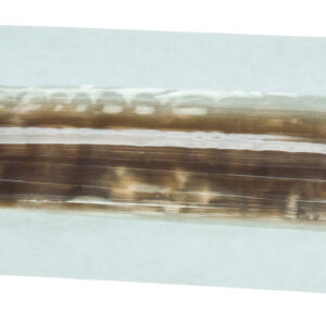 Visking Tubing - Pack of 30 meter