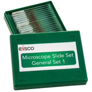 Microscope Slide Set - General Set No. I Set of 25