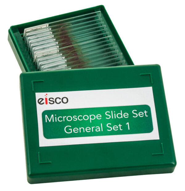 Microscope Slide Set - General Set No. I Set of 25