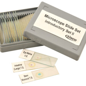 Microscope Slide Set - Introductory Set No. II Set of 12