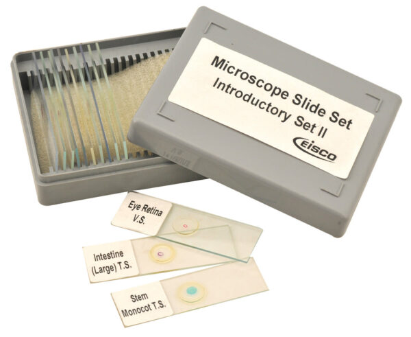 Microscope Slide Set - Introductory Set No. II Set of 12