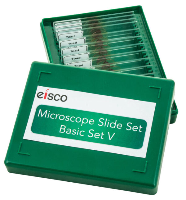 Microscope Slide Set Algae Survey Slide Set No VII set of 15 Slides