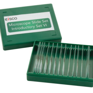 Microscope Slide Set - Introductory Set No. VI Set of 15