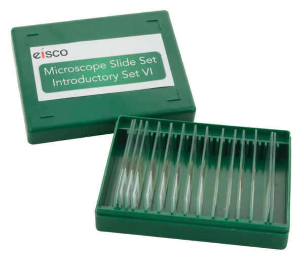 Microscope Slide Set - Introductory Set No. VI Set of 15