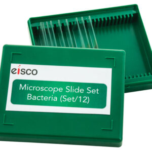 Microscope Slide Set - Bacteria Set of 12