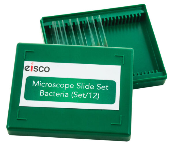Microscope Slide Set - Bacteria Set of 12