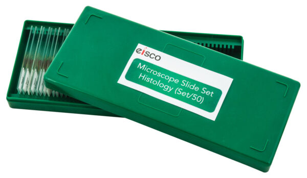 Microscope Slide Set - Histology Set of 50