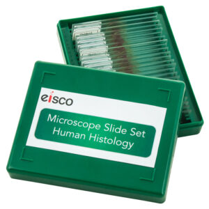 Microscope Slide Set - Human Histology Set of 25