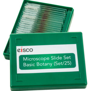 Microscope Slide Set - Basic Botany Models Set of 25