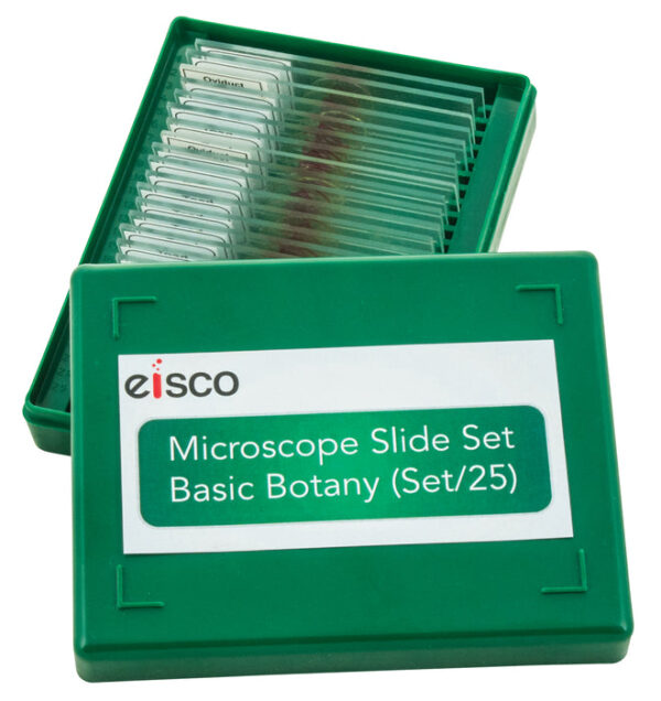 Microscope Slide Set - Basic Botany Models Set of 25