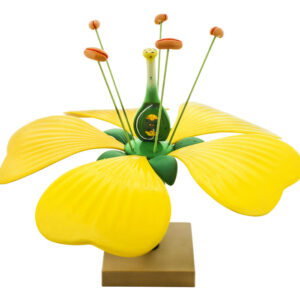 Typical Flower Model - Eisco Labs