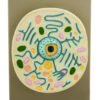 Model Typical Plant Cell on plastic base
