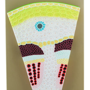 Premium Dicot Stem Model, on Base - Transverse Section, Greatly Magnified - Eisco Labs