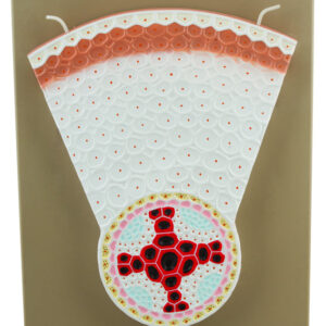 Dicot Root Model - Transverse Section with Hand Painted Details - Eisco Labs