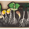 Model Germination